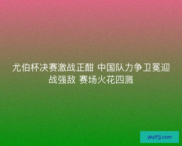 尤伯杯决赛激战正酣 中国队力争卫冕迎战强敌 赛场火花四溅